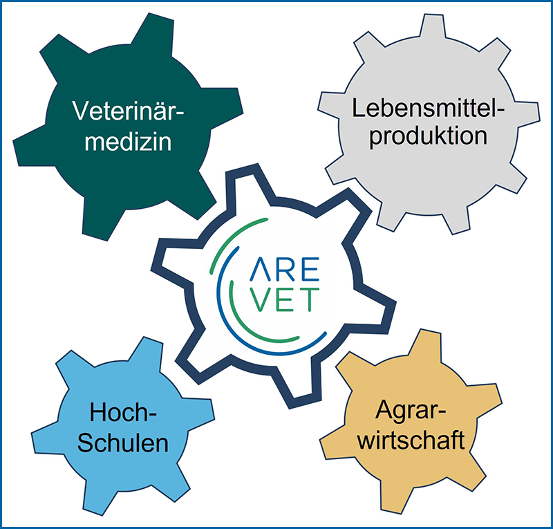 Die Abbildung zeigt fünf Zahnräder. Das Zahnrad in der Mitte trägt dier Aufschrift „ARE-Vet“. Darum herum sind vier Zahnräder angeordnet, die daran anknüpfen. Die vier äußeren Zahnräder sind beschriftet mit „Veterinärmedizin“, „Lebensmittelproduktion“, „Hochschulen“ und „Agrarwirtschaft“. Die Grafik soll die Verknüpfung und Verzahnung dieser Bereiche in der ARE-Vet verdeutlichen.